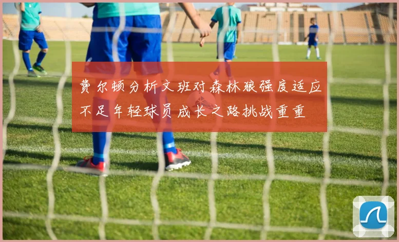 费尔顿分析文班对森林狼强度适应不足年轻球员成长之路挑战重重