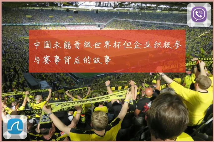 中国未能晋级世界杯但企业积极参与赛事背后的故事